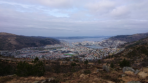 The Bergen city center from Orrehaugane