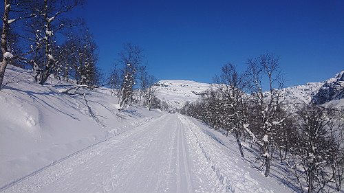 Steinskvanndalen with Iendafjellet in the background