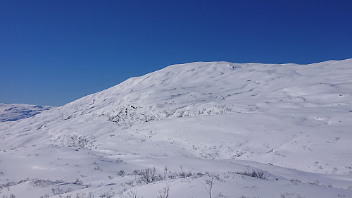 Byrkjefjellet from Rundehaugen