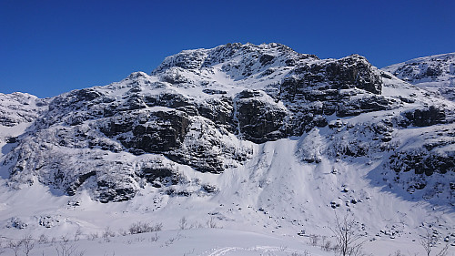 Fotasperrnuten from Rundehaugen