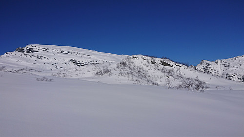 Looking back at Rundehaugen from the south. Iendafjellet to the left.