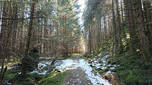 Continuing on foot towards the summit of Tereleitet