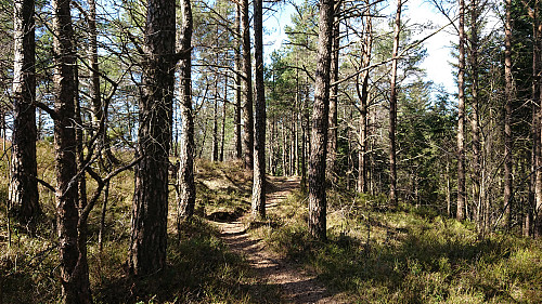 The trail towards Tereleitet