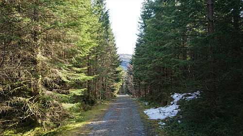 Returning to the main road