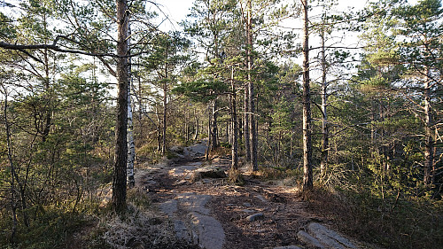 The trail along the ridge