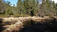 Crossing the stream