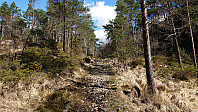 The tractor road to the trailhead