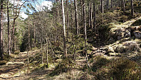 The unmarked trailhead (right)