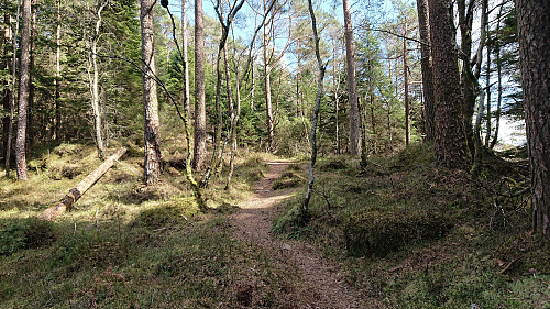 Example of the best parts of the trail