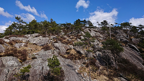 Approaching the summit