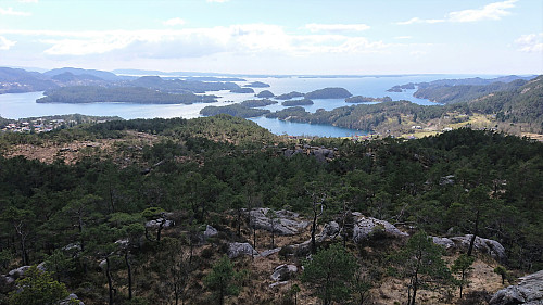 Looking back at Lysefjorden from the ascent