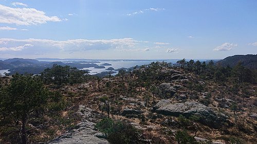 Lysefjorden from the summit