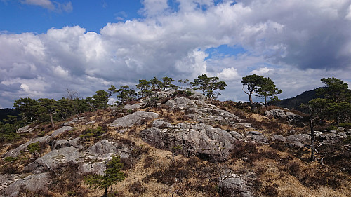 The summit of Storakvitefjellet