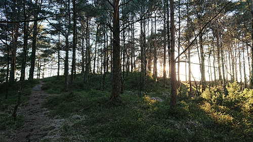 Approaching the summit of Nordre Lyshovden