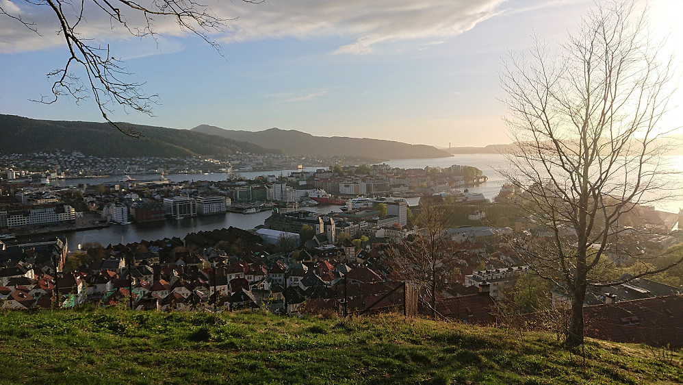 View towards Nordnes from Fjellveien