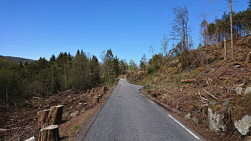 Neshamnvegen