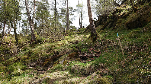 Marked trail across Hovåsen