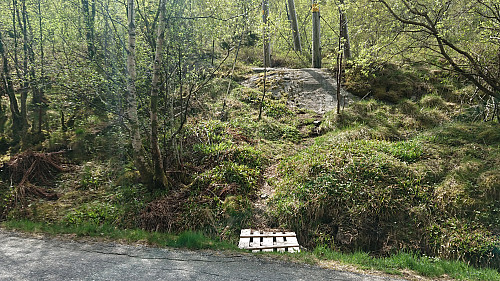 The unmarked trailhead next to Vinddalsveien P-lomme