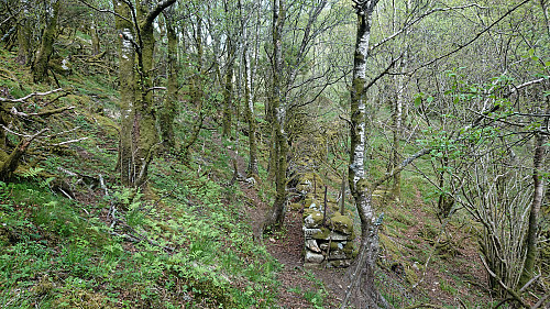 Stone wall next to the trail used to return to the road