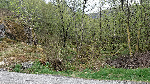 Looking back at the trail used to return to the road