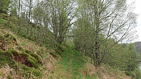 The road up to Lyskasterbatteriet