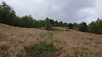 Field south of Lyskasterbatteriet