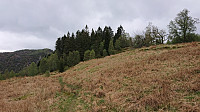 Kistehaugen from the north