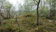 The summit of Kistehaugen