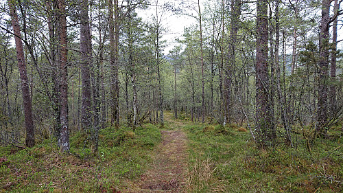 In between Høgehaugen and Klubben