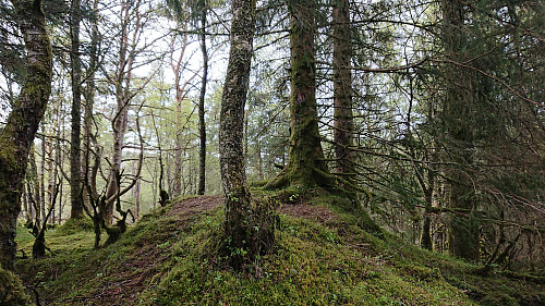 The summit of Klubben