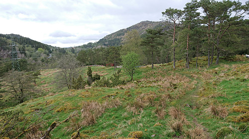 The field north of Klubben