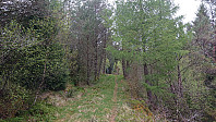 Tractor road NW of Svelihovden