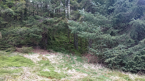 The missed trail exit