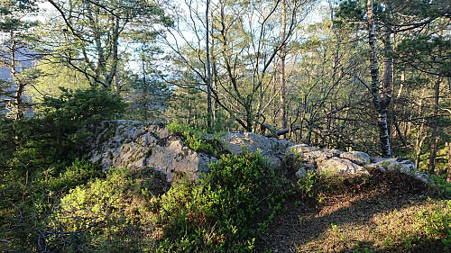 The highest point at Svartaberget