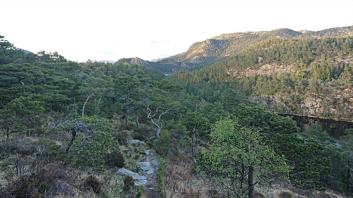 Descending from Svartaberget. Right: Gravdalsfjellet. Left of center: Tennebekksnipa.