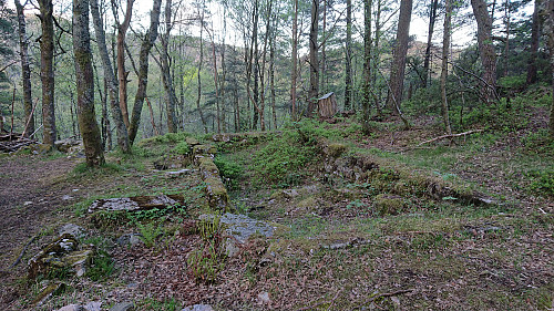 Yet unknown ruin (32V 293173 6697878)