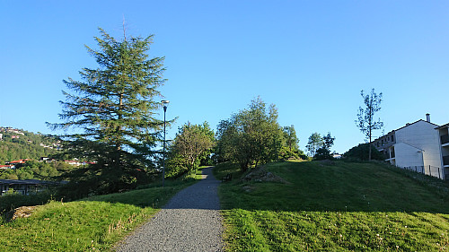 Approaching the summit of Nonskletten