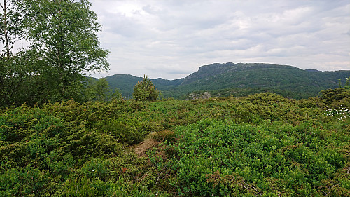 Novvarden with Høgstefjellet in the background