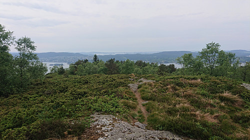 West along Novarinden