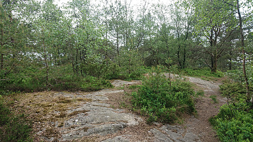 The summit area at Morvikavarden