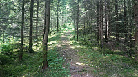Trail to Øykjafjellet