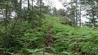 Trail to Skjenhaugane