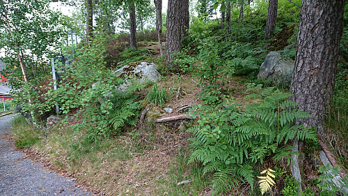 Trailhead for Lauvåsen
