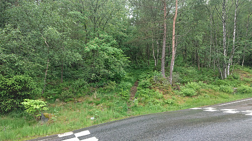 Unmarked trailhead for Eikhaugen