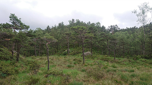 Approaching Eikhaugen