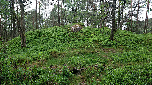 Eikhaugen