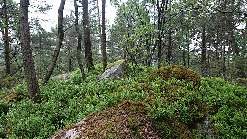 The summit of Eikhaugen