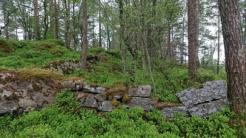 Stone wall or ruins of a larger structure northwest of the summit of Eikhaugen