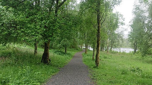 Gravel road south of Birkelandsvatnet