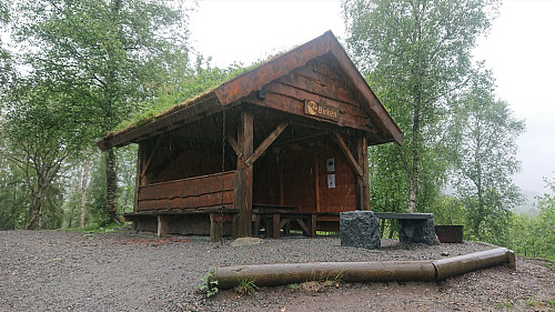 Birken west of Birkelandsvatnet